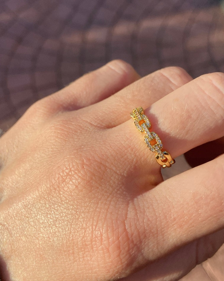 Shiny chain ring