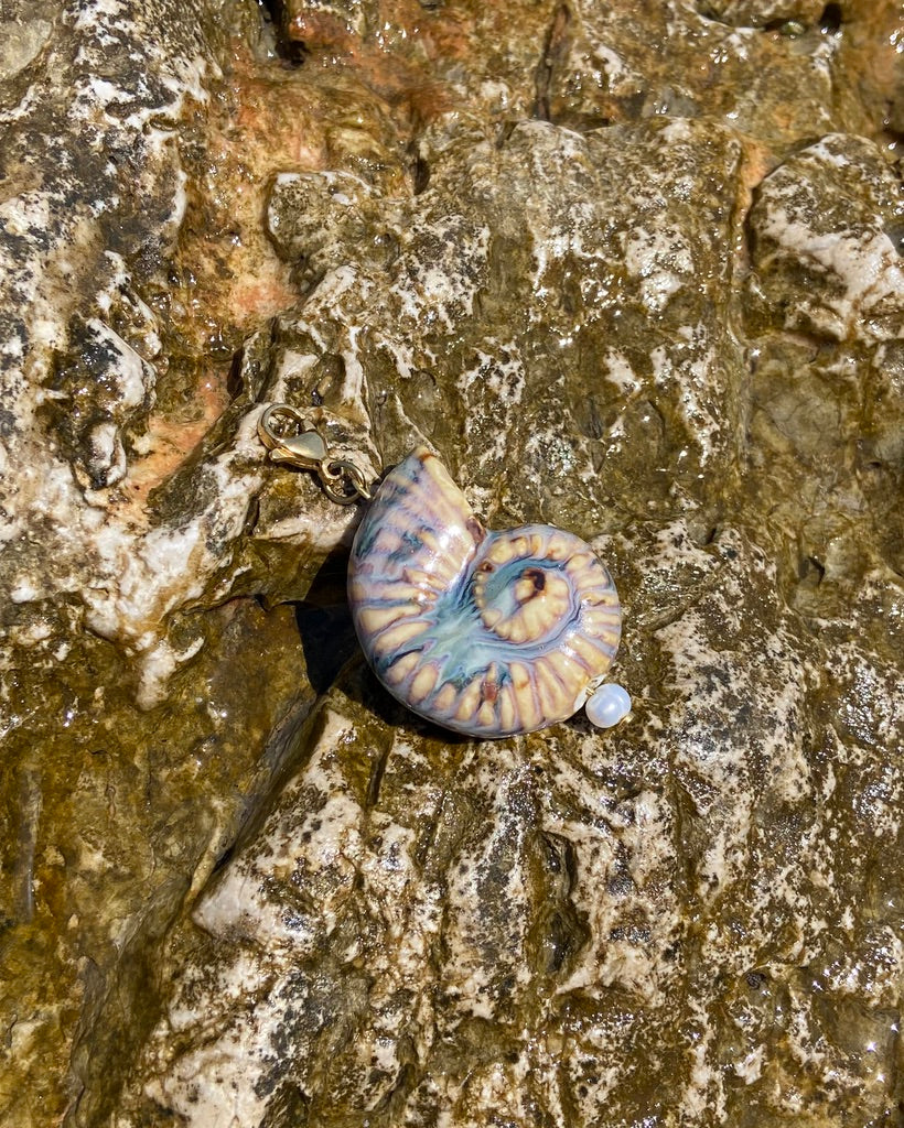 Brown Shell Charm